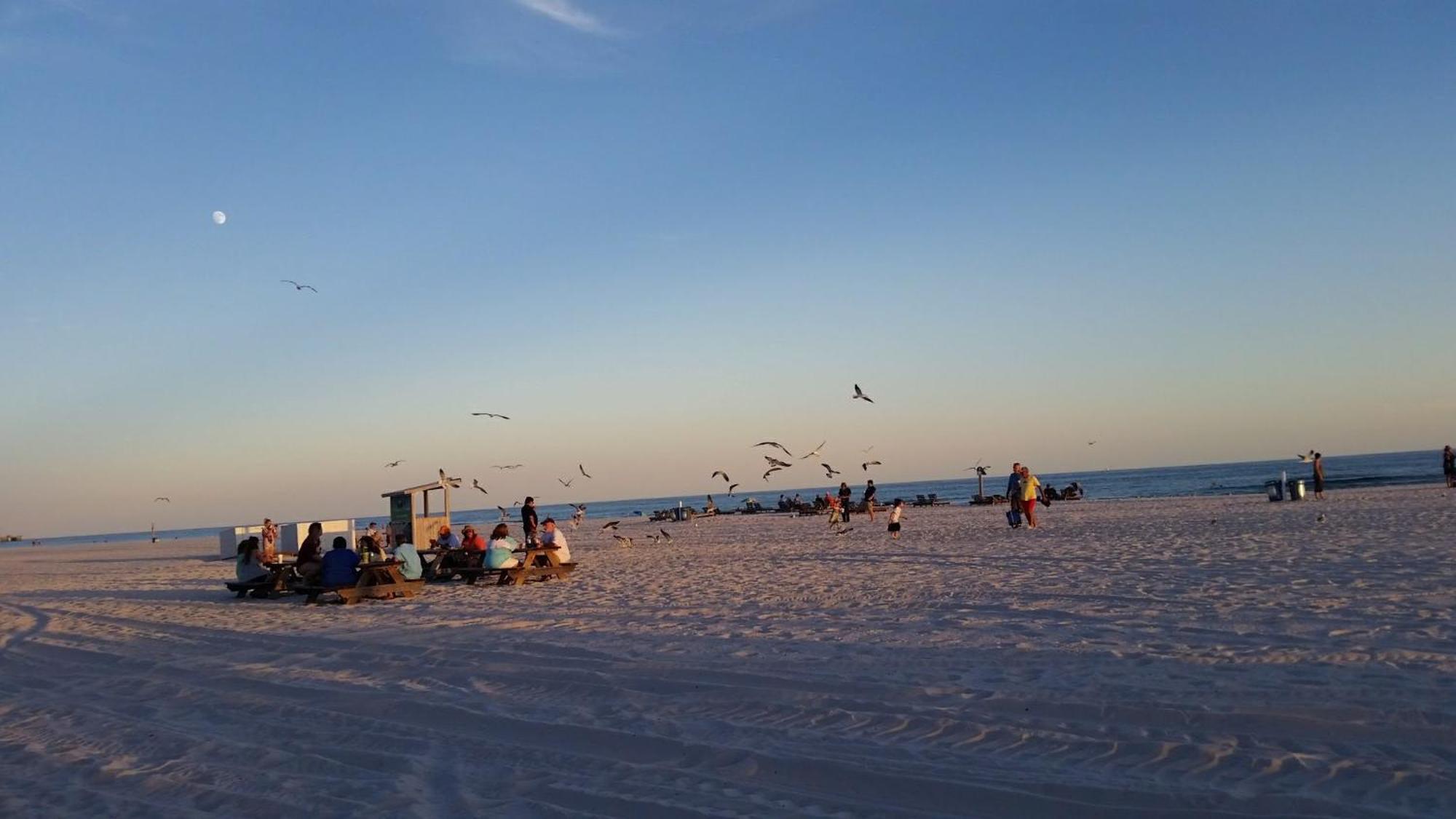 A Wave From It All Beach Resort Gulf Shores Exterior photo